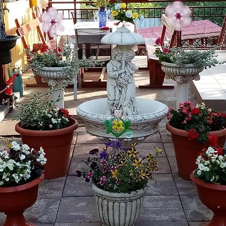 Casa Voica Apartman Torda Kültér fotó