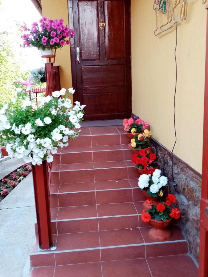 Casa Voica Apartman Torda Kültér fotó