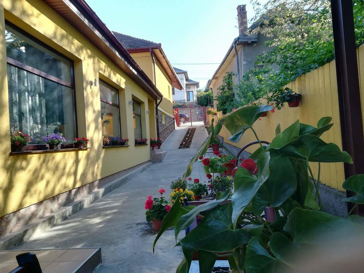 Casa Voica Apartman Torda Kültér fotó