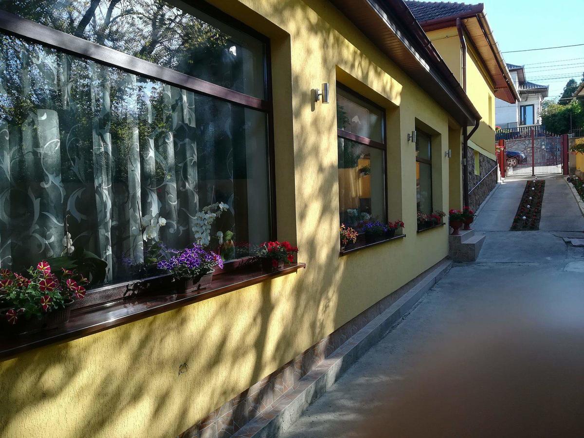 Casa Voica Apartman Torda Kültér fotó