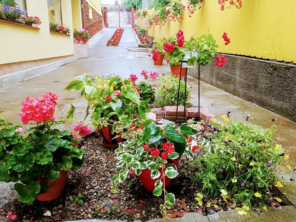 Casa Voica Apartman Torda Kültér fotó