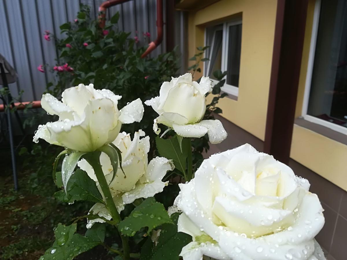 Casa Voica Apartman Torda Kültér fotó
